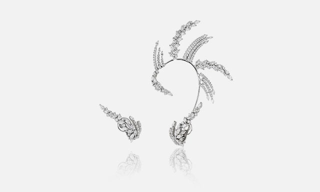 Image of Y-Couture Collection